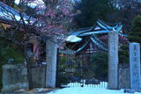 多聞院 残雪と紅梅