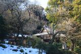 円光寺 白梅と残雪