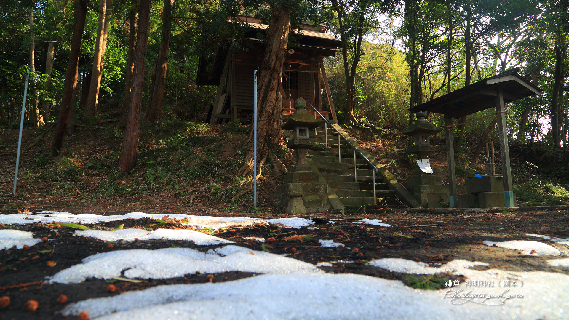 鎌倉 斑雪の神明神社