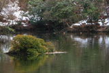 散在ガ池森林公園 オシドリと斑雪