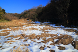 斑雪の広町緑地