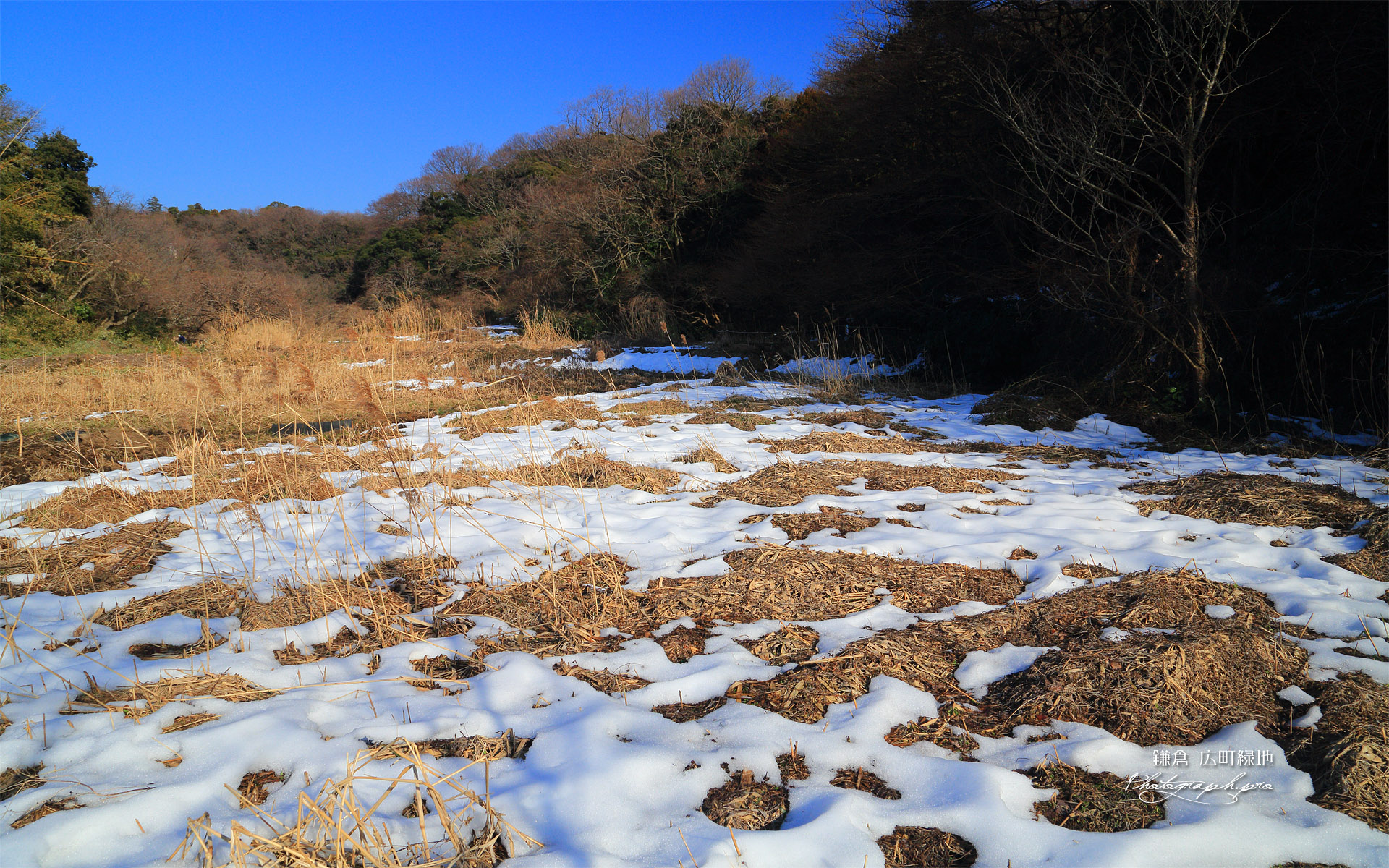斑雪の広町緑地