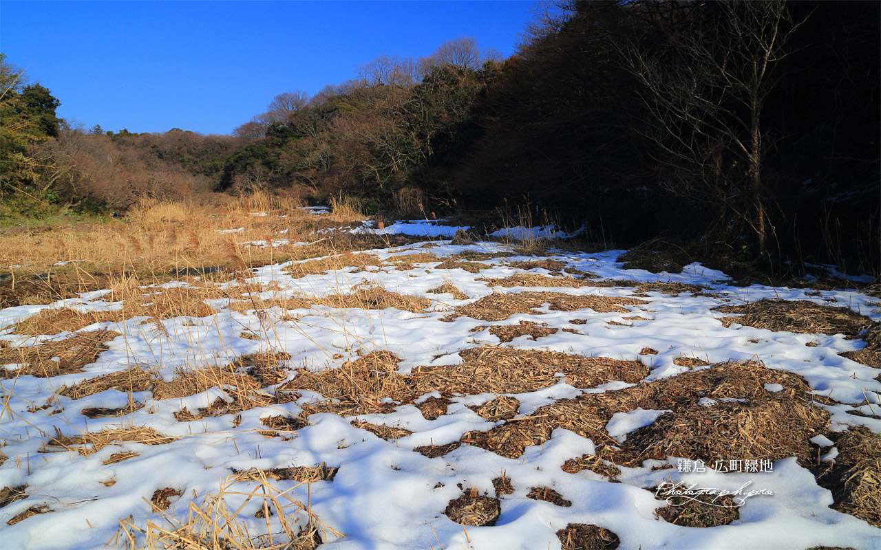 斑雪の広町緑地 壁紙