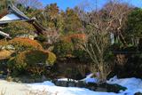 来迎寺（西御門） 残雪