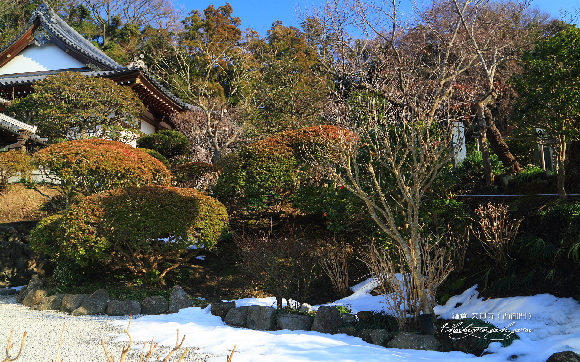 来迎寺（西御門） 残雪