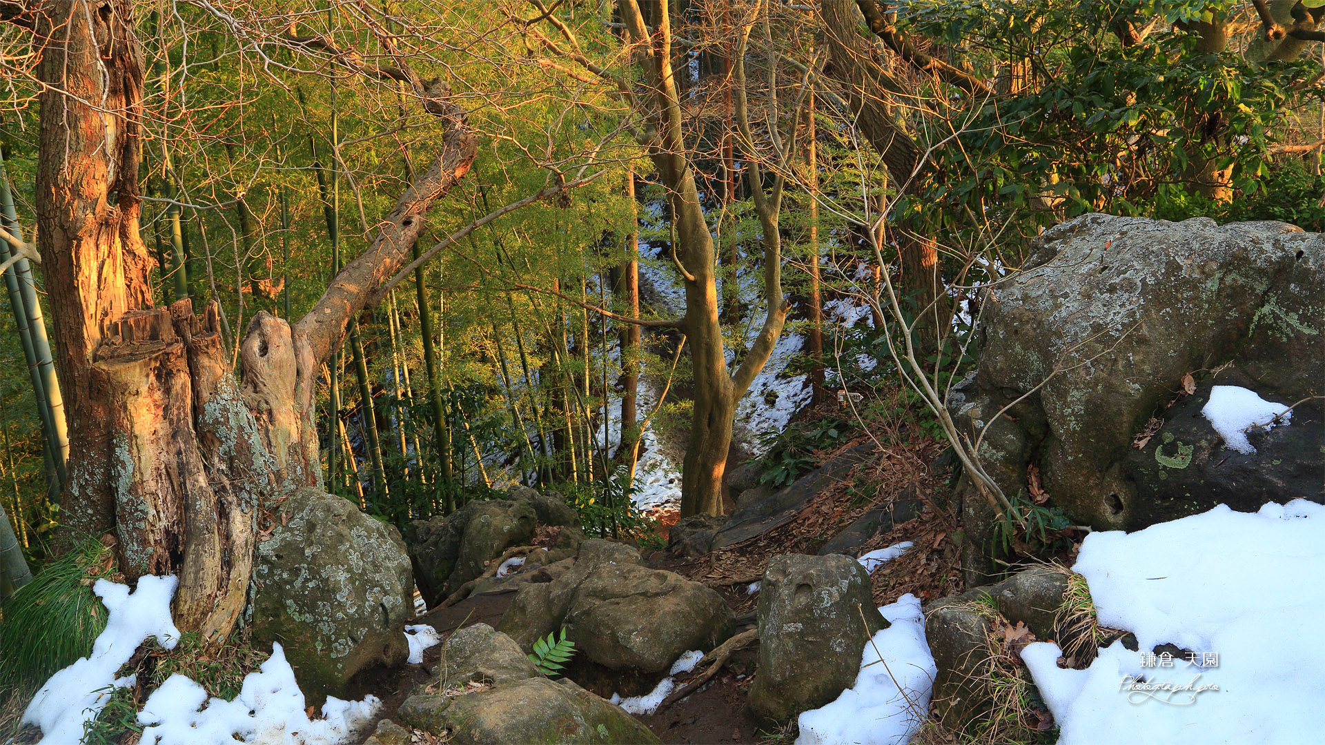 鎌倉 天園の残雪