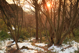 鎌倉 斑雪の獅子舞の夕景