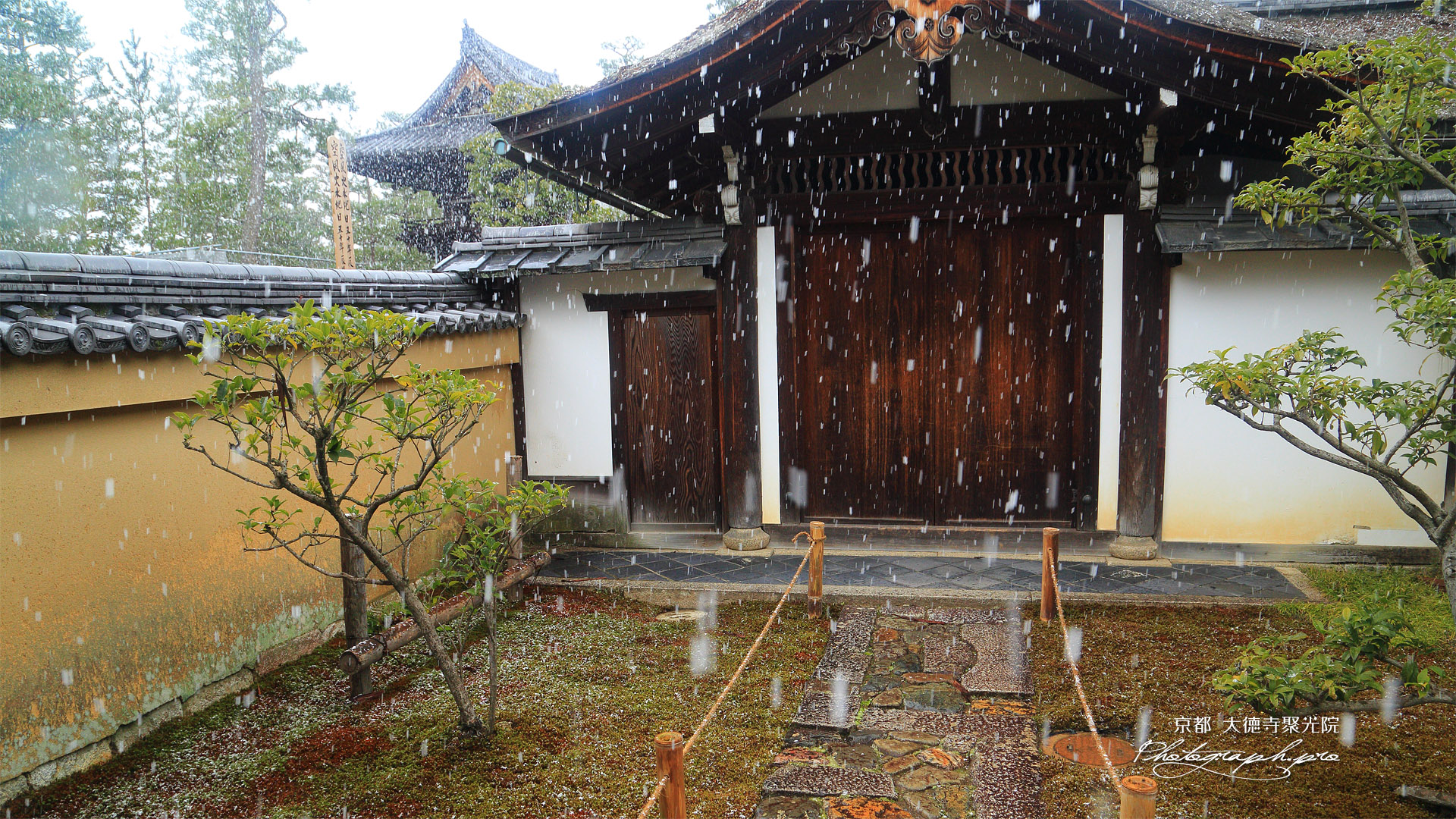 聚光院 雪降る玄関