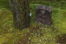 聚光院