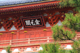 大徳寺 雪舞う三門