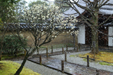 大仙院 降雪の白梅と玄関