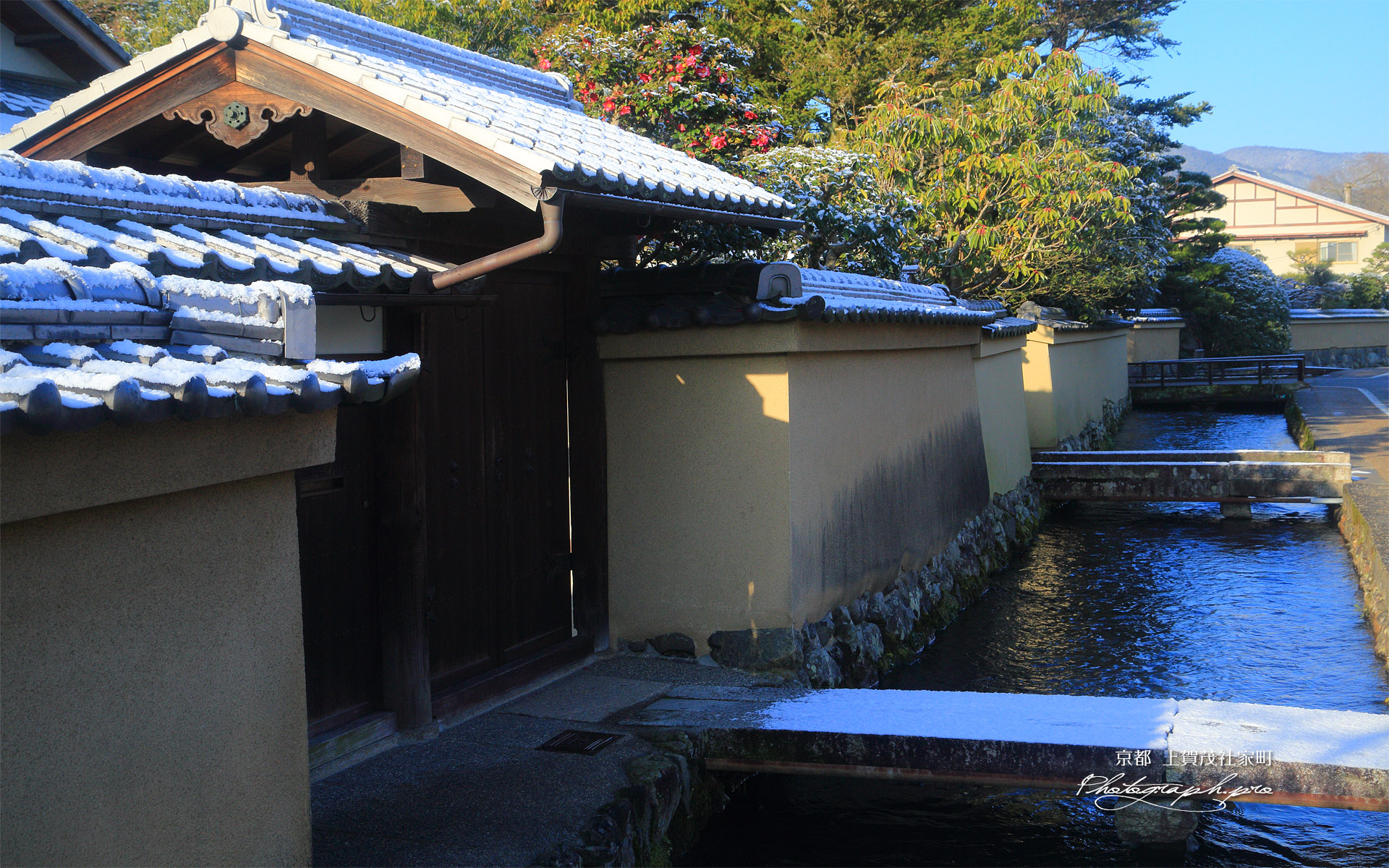 上賀茂社家町 淡雪と椿