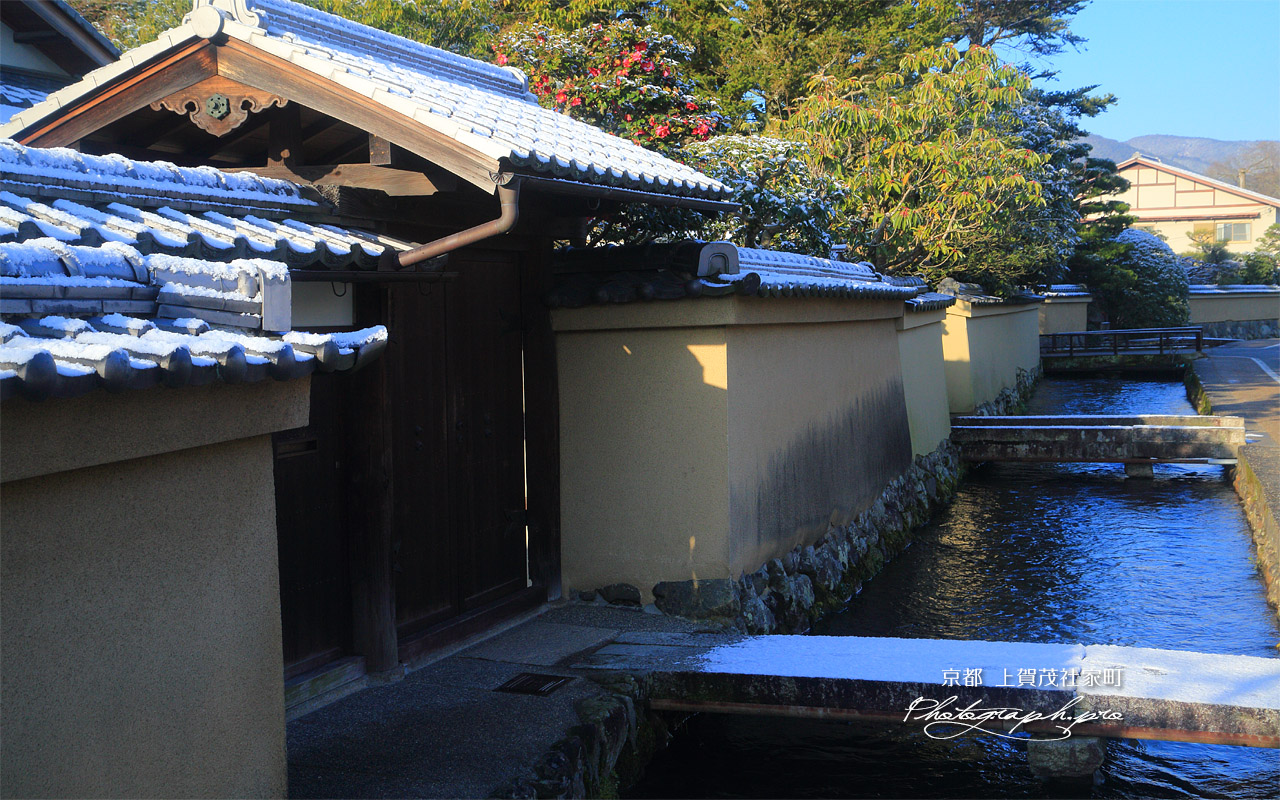 上賀茂社家町 淡雪と椿 壁紙