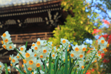 正林寺