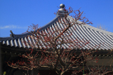 大黒寺