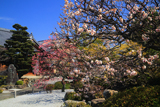 龍雲寺