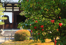 海宝寺