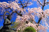 身延町 鏡円坊