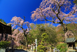 身延町 鏡円坊