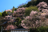 身延町 鏡円坊