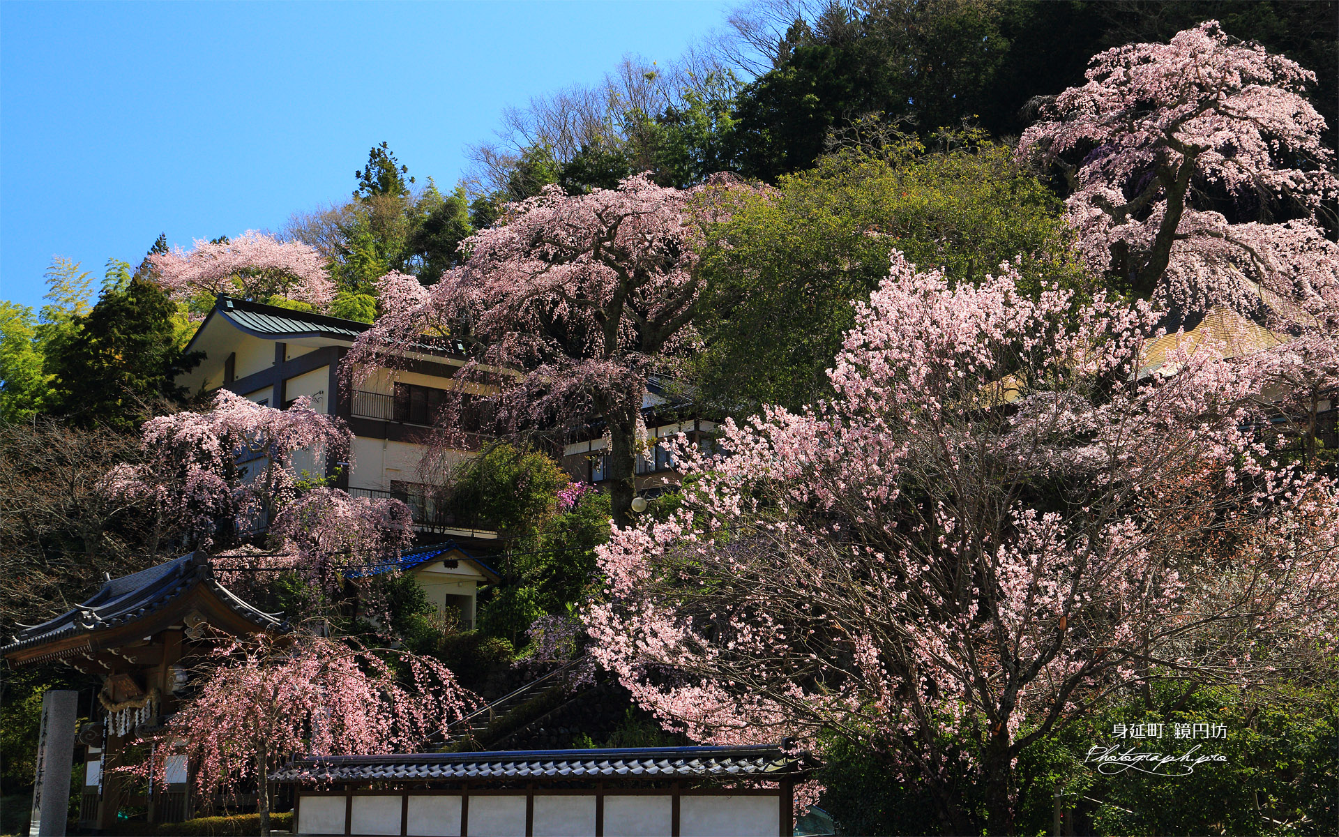 身延町 鏡円坊