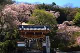 身延町 鏡円坊