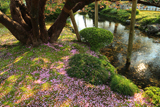 兼六園熊谷