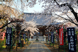 上野 両大師