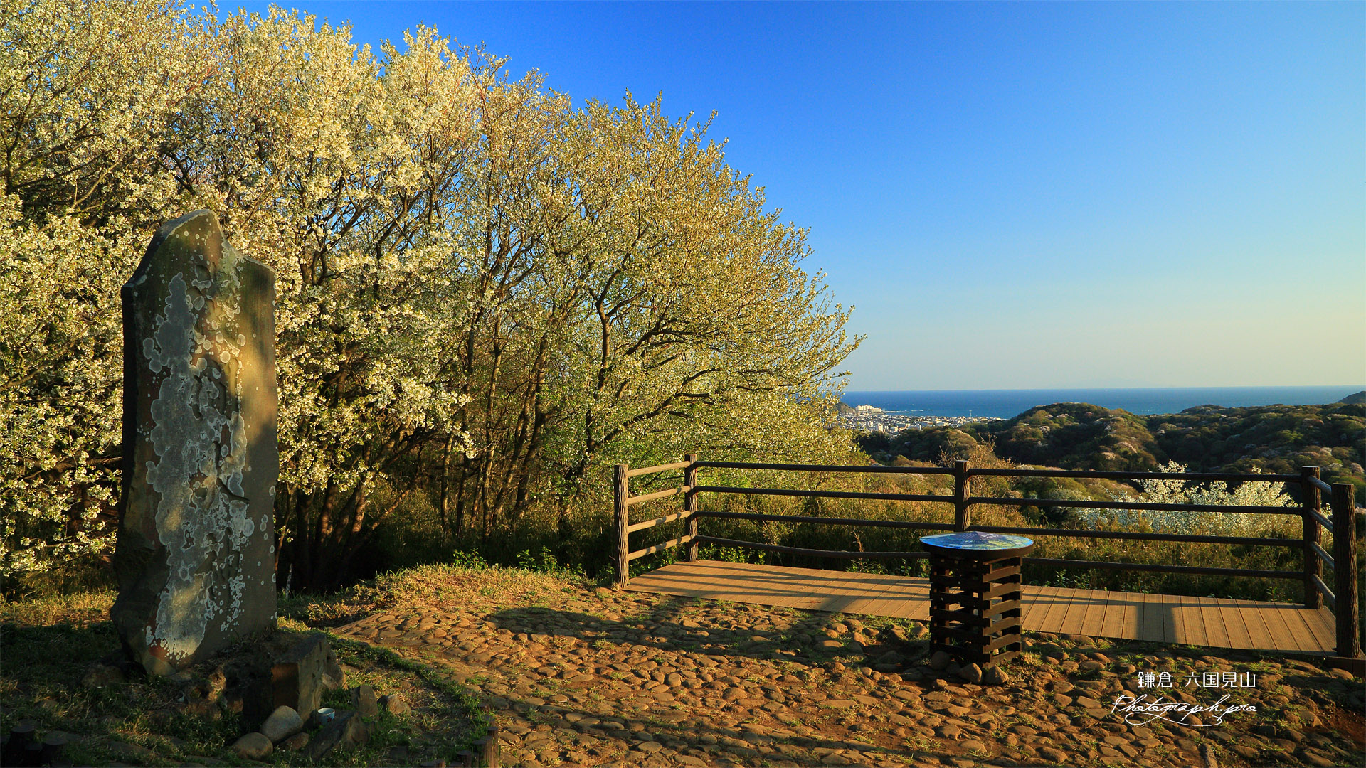 桜咲く富士塚展望台