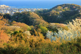 六国見山からの材木座海岸