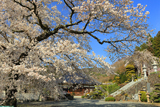 身延町 妙圓寺