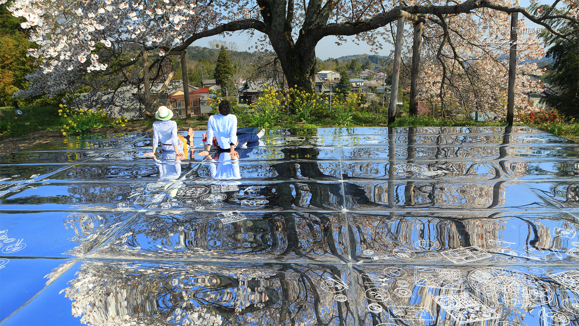 与市郎桜