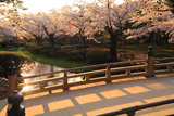 兼六園の花見橋