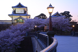 金沢城公園の桜