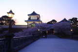 金沢城公園の桜