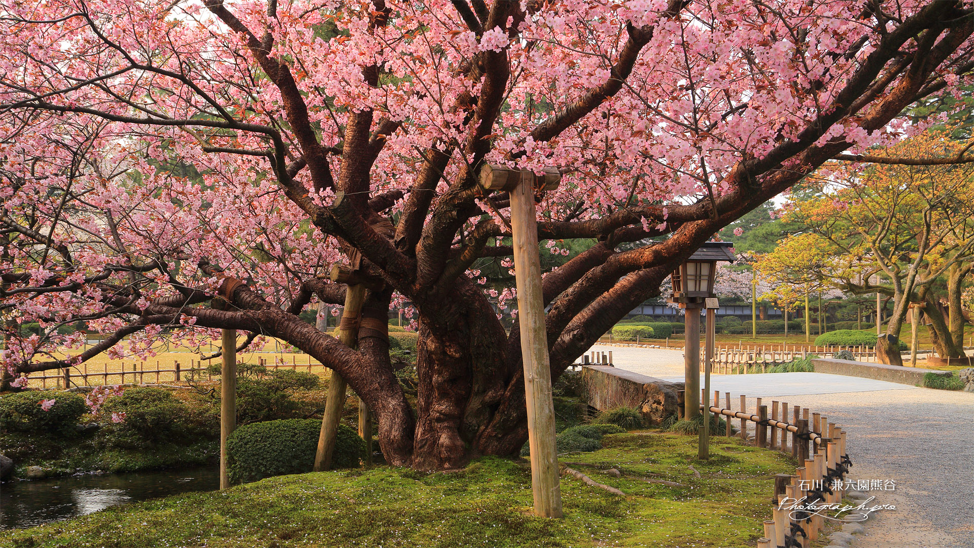 兼六園熊谷