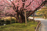 兼六園熊谷