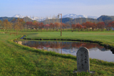 羅臼町 自然とみどりの村の桜