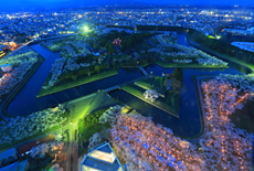五稜郭公園の桜