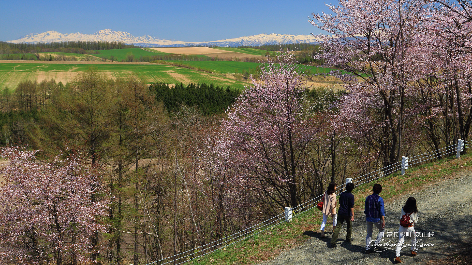 上富良野町 深山峠さくら園の報徳道路