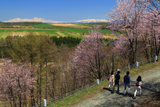 上富良野町 深山峠さくら園の報徳道路