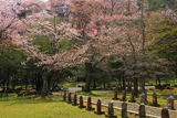 厚岸町 国泰寺