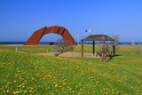 望郷の岬公園の千島桜