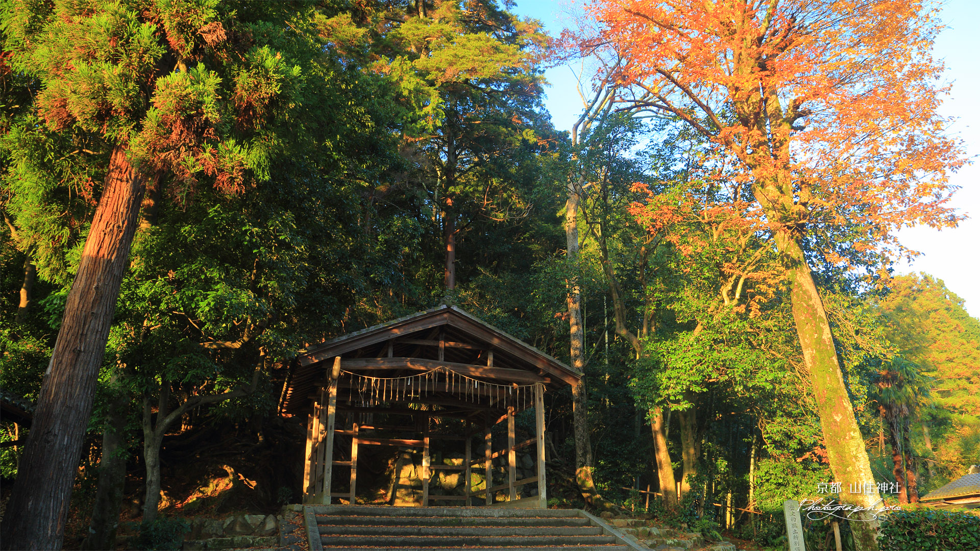 京都岩倉 雑木紅葉の山住神社