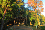 京都岩倉 雑木紅葉の山住神社