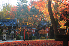 松ケ崎大黒天