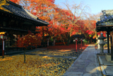 松ケ崎大黒天 絵馬堂と敷紅葉の妙円寺