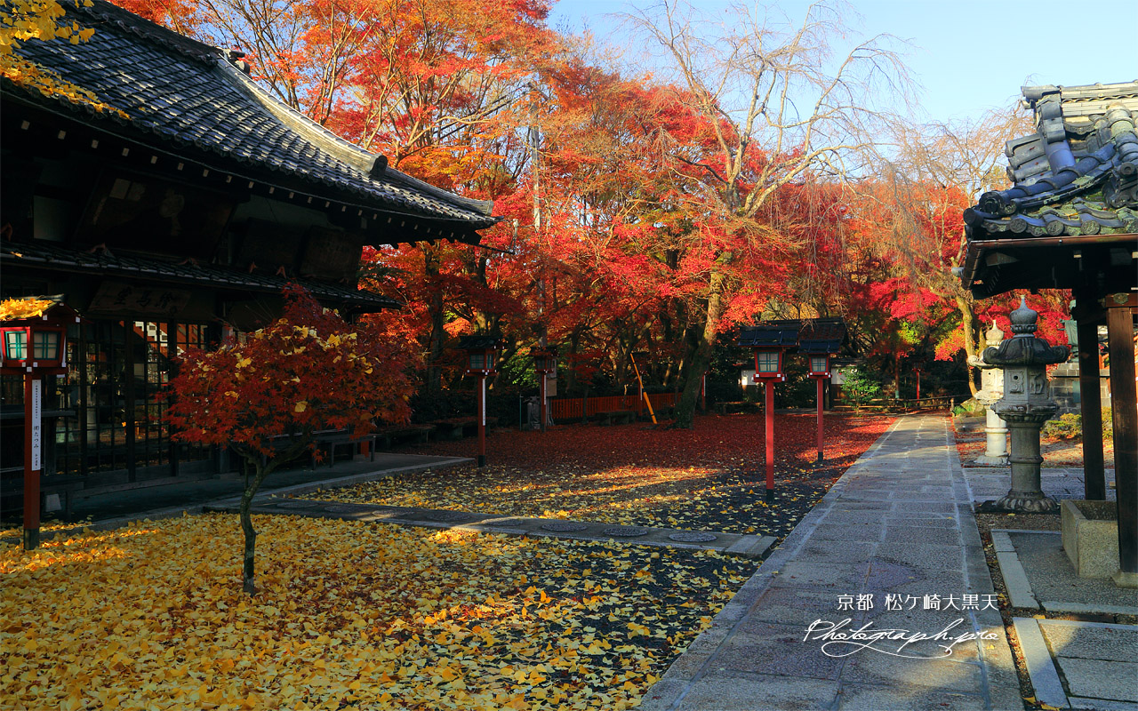 松ケ崎大黒天 絵馬堂と敷紅葉の妙円寺 壁紙