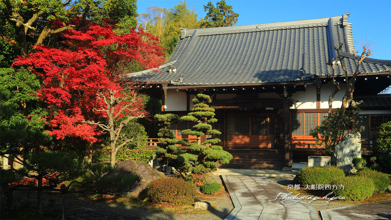 大船院西方寺 紅葉と本堂 壁紙