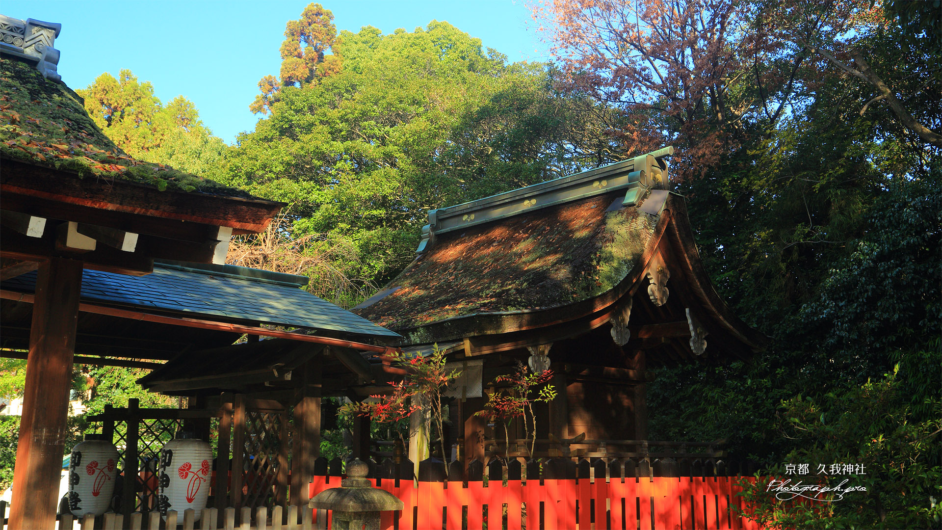 久我神社 南天と本殿